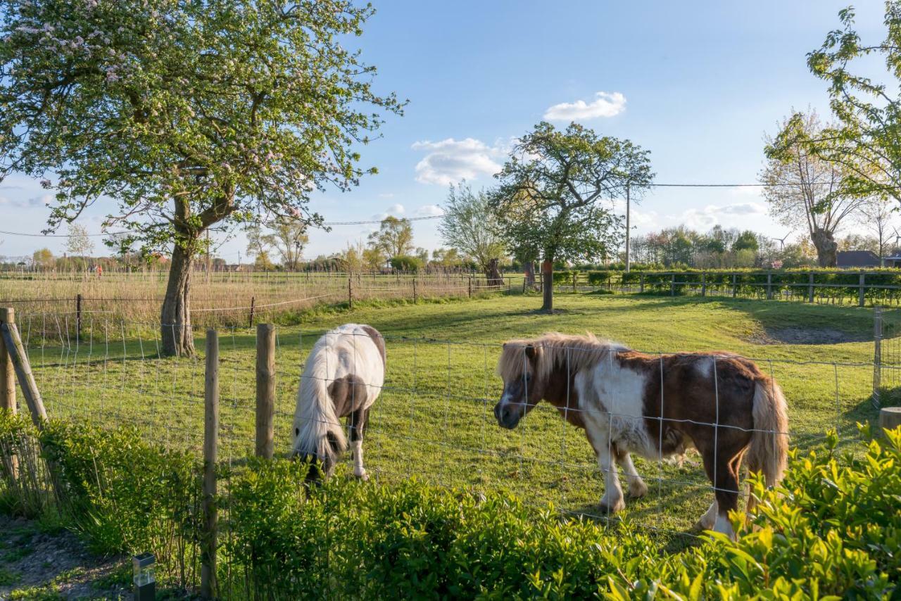 ברוז' Hoeve De Zuidhoek מראה חיצוני תמונה